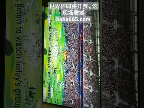 天津女排出,局原因剖析,陈方未来未,开云体育,开云体育官网,开云体育app,开云体育app下载